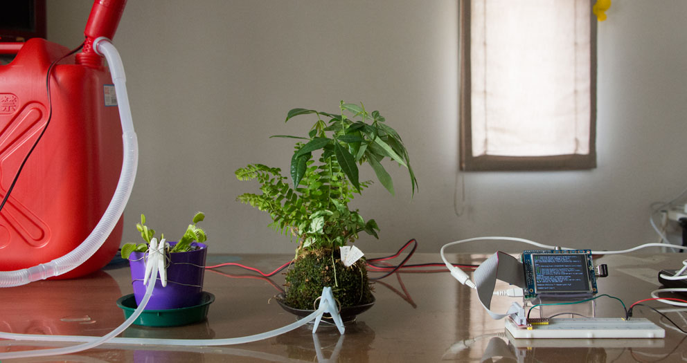 Raspberry Pi と Hubot で観葉植物の水やりを自動化する