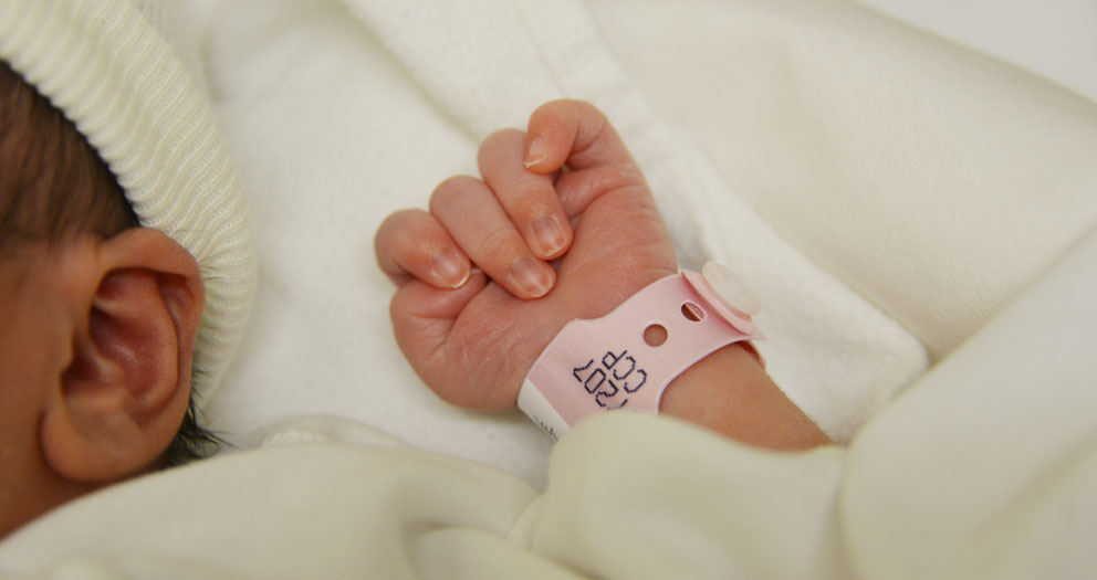 第三子が誕生しました